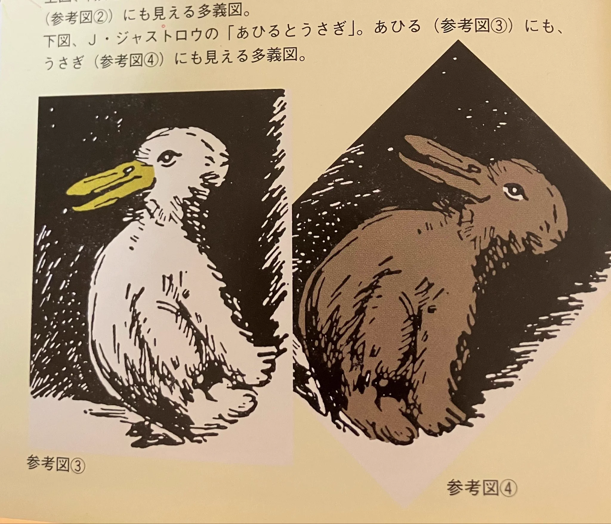 阿部2 on X: 