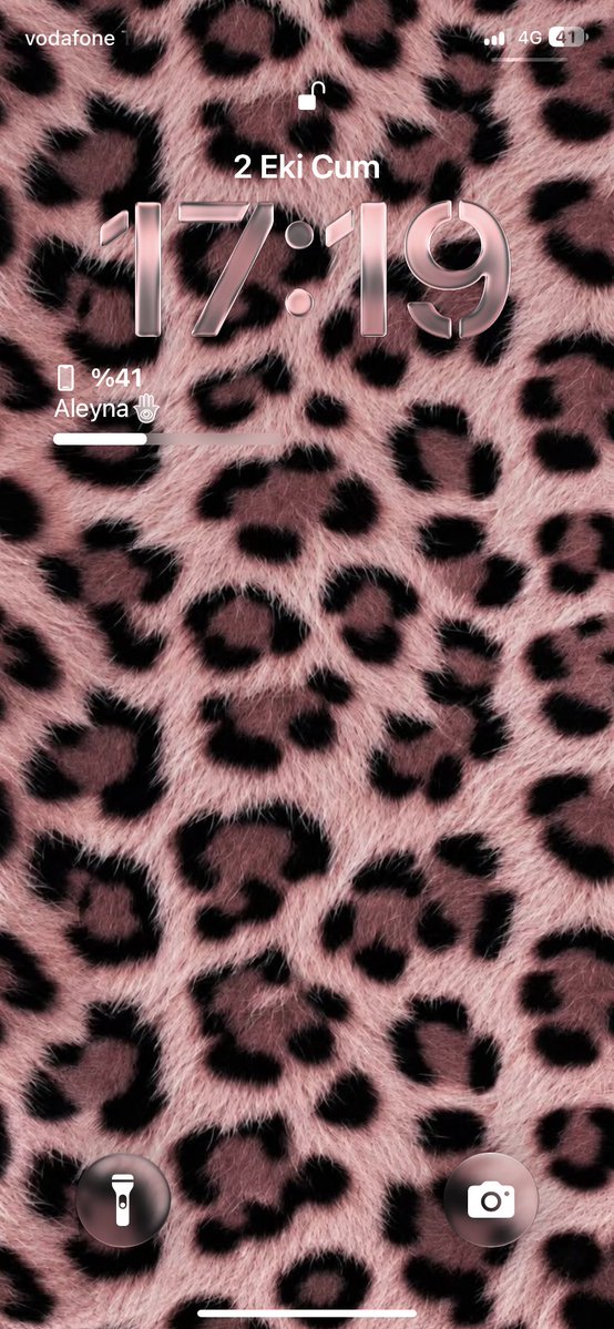 askkadinabravoo's tweet photo. profile / lock screen/ last song played / pinterest https://t.co/nWeYOVPEA3