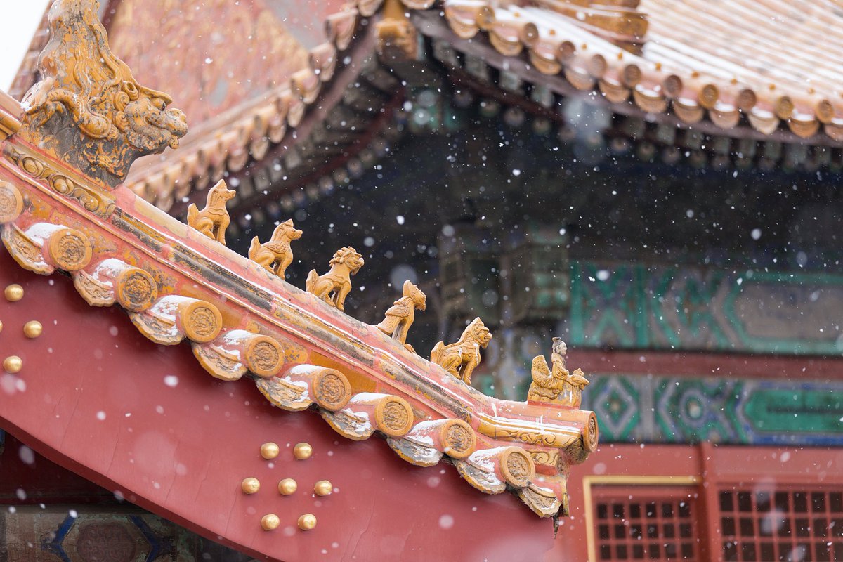 MollieFocht's tweet photo. 【小雪飘啦！】今日初雪裹着桂香，踩在软乎乎的雪地上，连风都变甜了～ https://t.co/iX6SEhTvYf