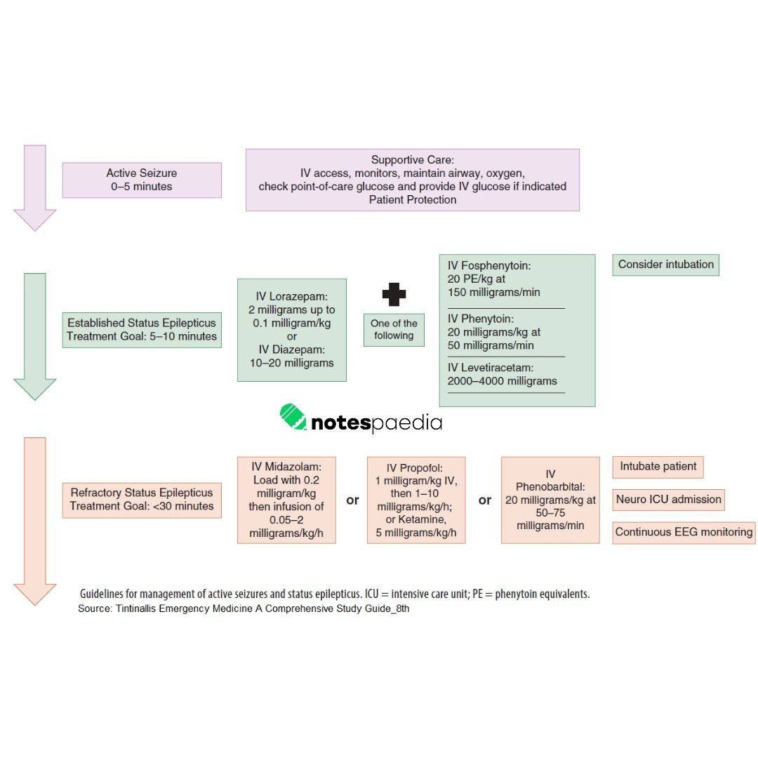 A25ma22's tweet photo. Guidelines for Management of Active Seizures and Status Epilepticus https://t.co/Ee0cepNR8G