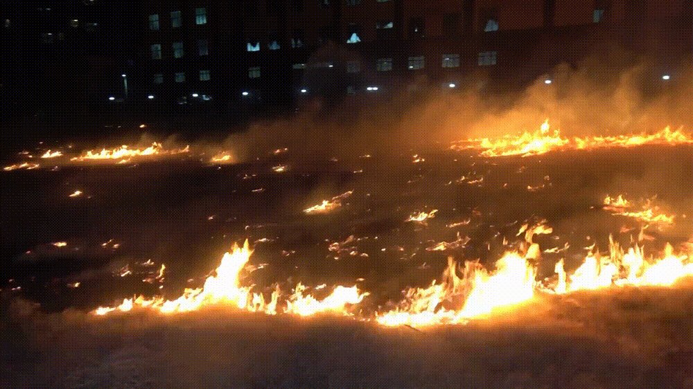 harr_y15's tweet photo. [The ground burns, we tear through the chaos, and new hope emerges.]， https://t.co/xNU8Wby5cw