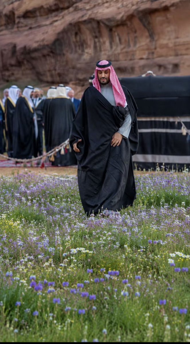 Saudiien's tweet photo. https://t.co/5iyOenDhuw