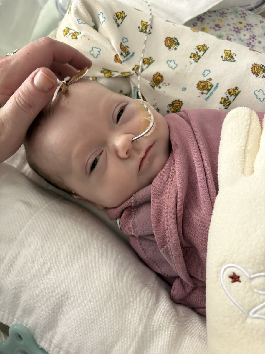 scissormountain's tweet photo. Baby Nova has been on earth for 64 days, entering the world via placental abruption, then being life flighted to a hospital far away due to necrotizing entercolitis.

Our Fundraiser died the most it ever has.
Please pray, share, comment, like, and donate. Whatever you can muster as our village. 

it’s all such a big deal and makes all the difference for my NICU baby.

I still need as much help as I can find. Ronald McDonald is full again so on top of my spouse taking off work for all of this and for nova’s surgery so I can be there mid week, this is a big hit we can’t afford on our own.
 Last surgery was 16 days ago. Next one in a few days. 

GoFundMe-https://t.co/gSkiczF01d

GiveSendGo-https://t.co/H1sXYrok3Z

Cash App-$allthestars92

#pierrerobinssequence
#gtube
#surgery
#NICU
#lifeflight
#cleftpalate
#family