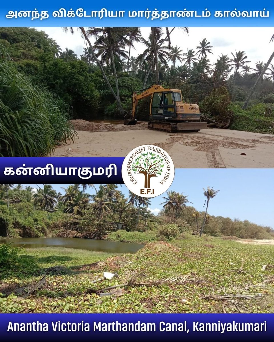 EFIVolunteer's tweet photo. #BlueGreenKanniyakumari is bringing new life to a section of the historic Anantha Victoria Marthandam Canal in Kanniyakumari.
Stay tuned for more updates from this historic canal!
#BlueGreenKanniyakumari #AnanthaVictoriaMarthandamCanal #WaterConservation #EFI #AVMCanal https://t.co/JoK5nhlgjK