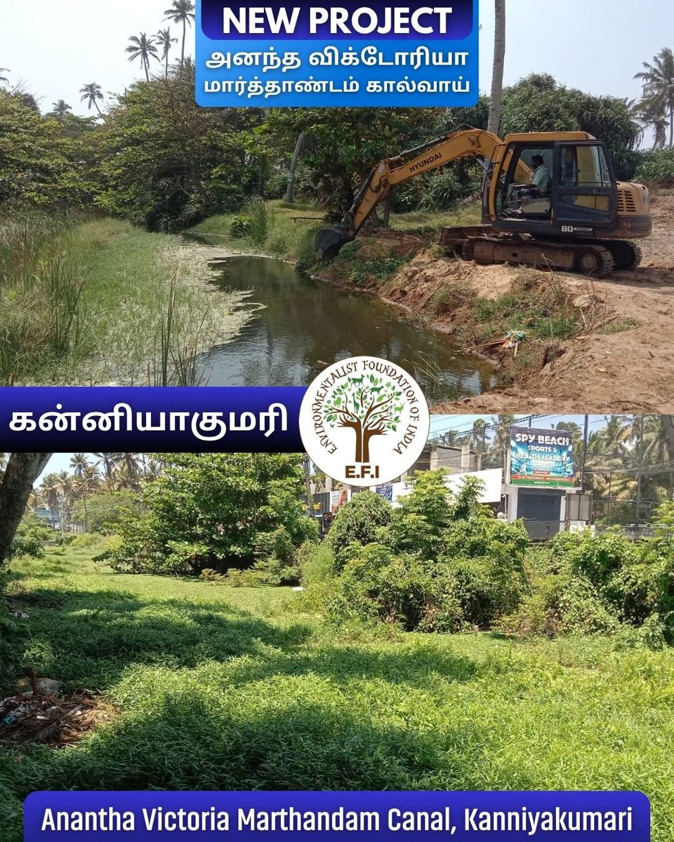 EFIVolunteer's tweet photo. #BlueGreenKanniyakumari is bringing new life to a section of the historic Anantha Victoria Marthandam Canal in Kanniyakumari.
Stay tuned for more updates from this historic canal!
#BlueGreenKanniyakumari #AnanthaVictoriaMarthandamCanal #WaterConservation #EFI #AVMCanal https://t.co/JoK5nhlgjK