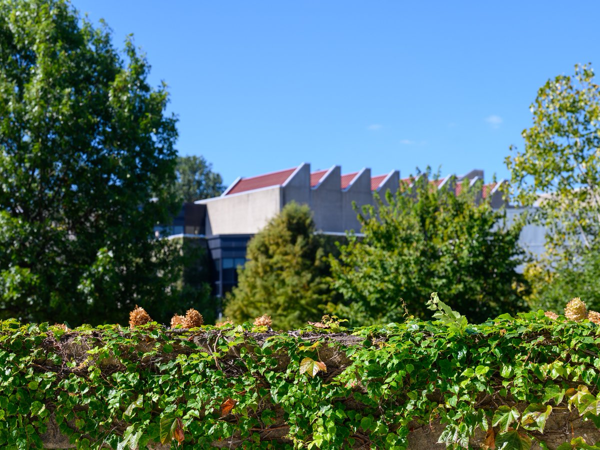nkuedu's tweet photo. Fall is slowly making its mark on campus 🌿🍁

#NorseUp https://t.co/6r0Ev4w33D