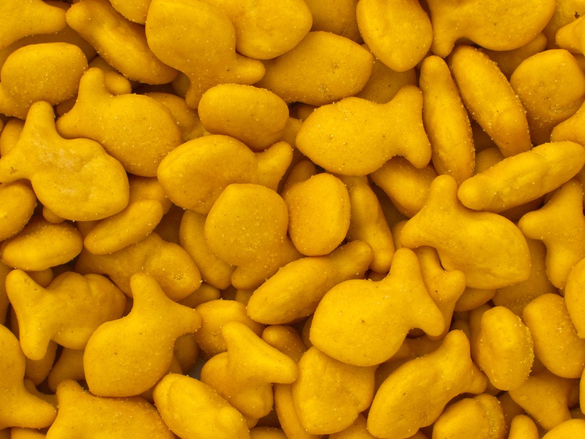 MilkinMicrowave's tweet photo. goldfish is human kibble #thinkaboutit https://t.co/zSbat2QriA
