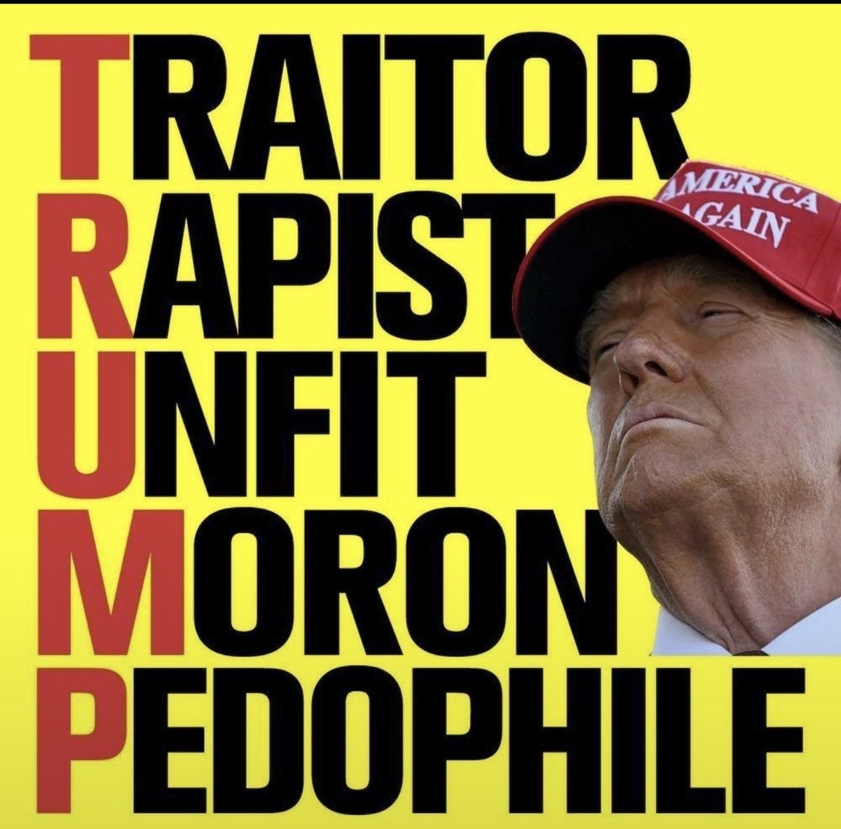 johnis44's tweet photo. This is your daily reminder that he is a…

Traitor.
Rapist.
Unfit.
Moron.
Pedophile.

Fuck trump.
Fuck maga. https://t.co/OxMraaqKZR