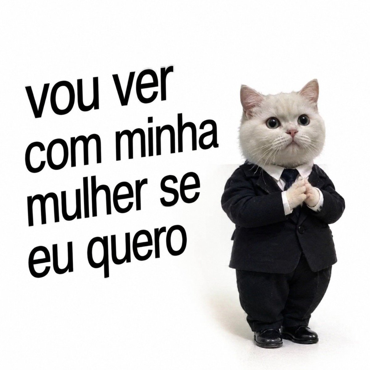 acervobichinho's tweet photo. https://t.co/o1RbDT2uTI