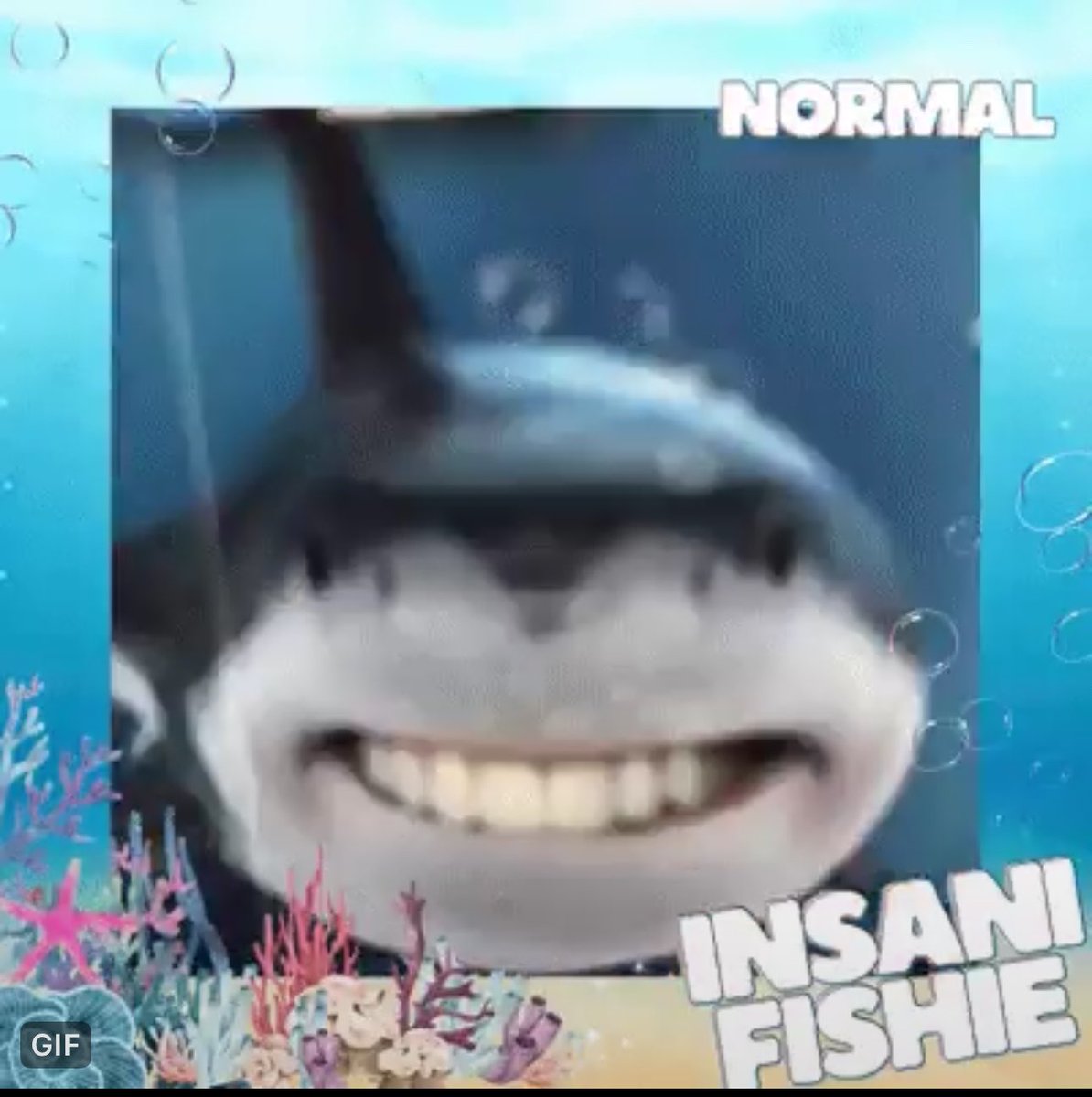 UpinFeast's tweet photo. “Hah?” Dudung memiringkan kepala. Bentuknya aneh. Terlalu aneh, bahkan untuk ukuran ikan. Ia menatap ikan-ikan tersebut satu per satu, kemudian menatap Ajello lagi dengan ekspresi curiga. “Aku enggak lagi kena scam, kan?”

@SayangVairaja https://t.co/dz3wpJrwT0