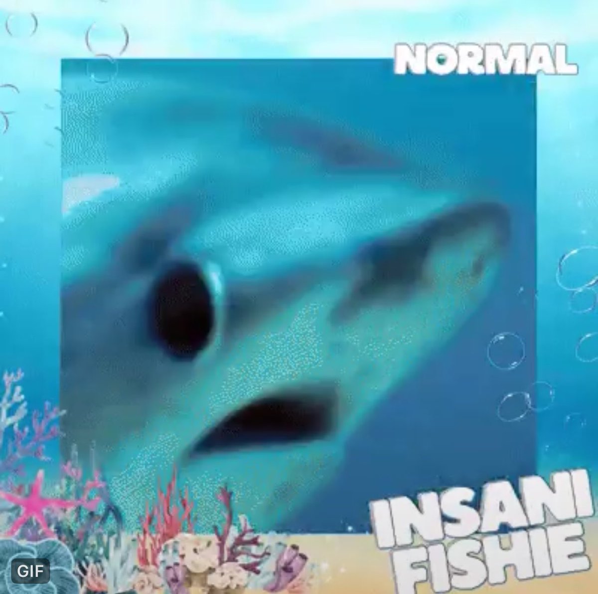 UpinFeast's tweet photo. “Hah?” Dudung memiringkan kepala. Bentuknya aneh. Terlalu aneh, bahkan untuk ukuran ikan. Ia menatap ikan-ikan tersebut satu per satu, kemudian menatap Ajello lagi dengan ekspresi curiga. “Aku enggak lagi kena scam, kan?”

@SayangVairaja https://t.co/dz3wpJrwT0