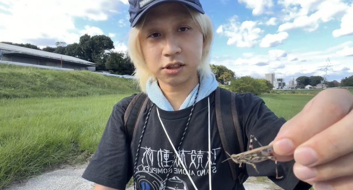 toshiofan's tweet photo. 一昨日、サダの再来を見た

キッカーズ3軍の夢川みかん🍊

バッタらしき虫を生きたまま食べている姿を確認
3シーンはあったので、3匹は食べていた

「海老の尻尾を食べてるみたい」
らしい…

体張りすぎww
こういうの嫌いではないw

動画はかなり危ういので食す寸前の画像のみで…

ドリーム‼️💪 https://t.co/eK2fde5N6r