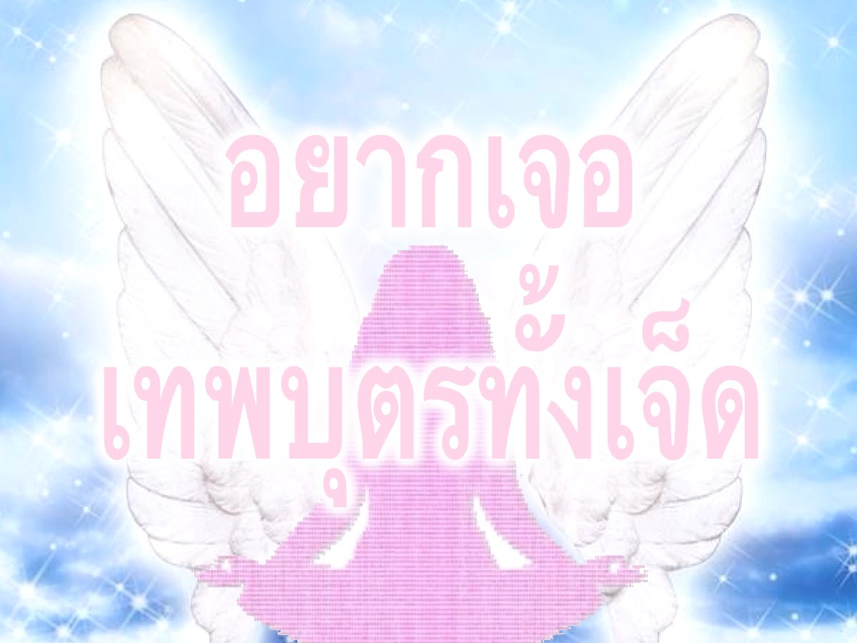 lostxcreamy's tweet photo. อยากไหว้พ่อแล้ว🧘🏻‍♀️🪷 https://t.co/BreCBuGEu0
