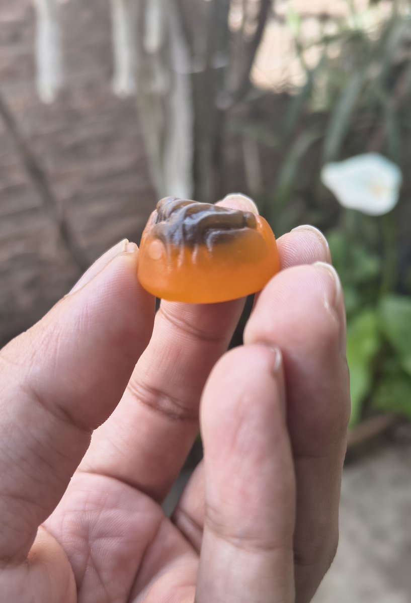 aboring747's tweet photo. Supuestamente era una gomita con forma de cerebro pero me tocó el cuero cabelludo del chiqui tapia https://t.co/xPN505ZGEi