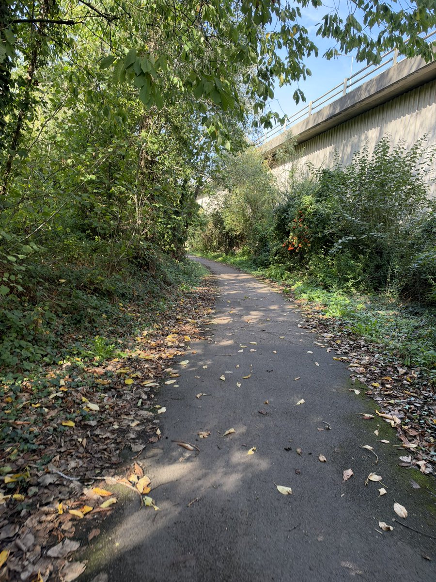 Connor_Hall2's tweet photo. Meant to cycle 8 miles or so to the local bike shop and then get the train home. But they didn’t have the stock they promised, so I cycled to another shop out of spite. And then the next. Until I’d done 23 miles that I totally hadn’t prepared for… #cycling https://t.co/enhxccZUzp