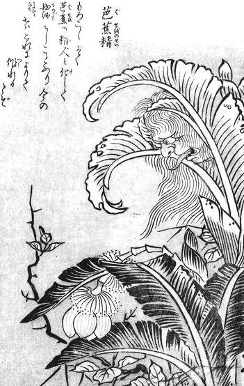 x1ngwu's tweet photo. In Chinese #folklore, even a banana tree can become a vessel of dread. Yijian Xu Zhi warns that if a banana tree stands undisturbed for 50 years, it may turn into a bajiao gui (芭蕉鬼), a Banana Tree Ghost.
Its most chilling trait is its hunger for blood: a single drop 1/2 https://t.co/rZYN0dP5eE