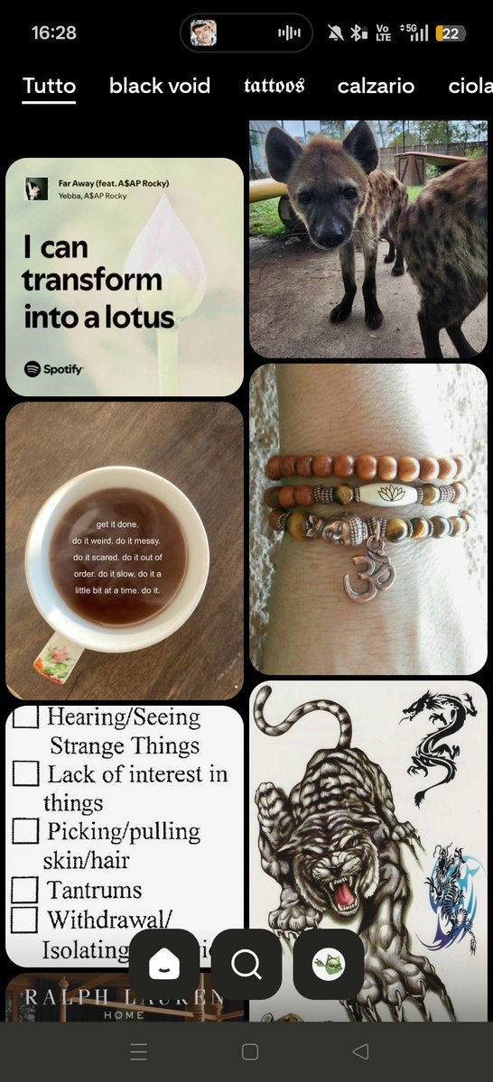 calzaario's tweet photo. profile / lockscreen / last song played / pinterest

a mia discolpa fire è una super hit https://t.co/Qu0ZtyRv3d