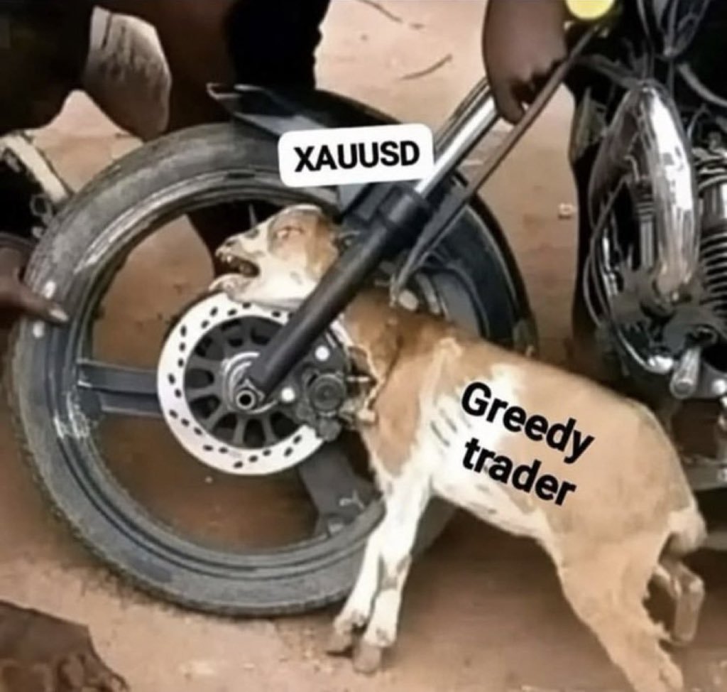 CARTOONFX001's tweet photo. Xauusd buyers right now after taking pictures instead of Taking profits 😂😂😂😂😂😂😂😂😂😂😂😂😂😂😂😂 https://t.co/rRX6sXkPGW