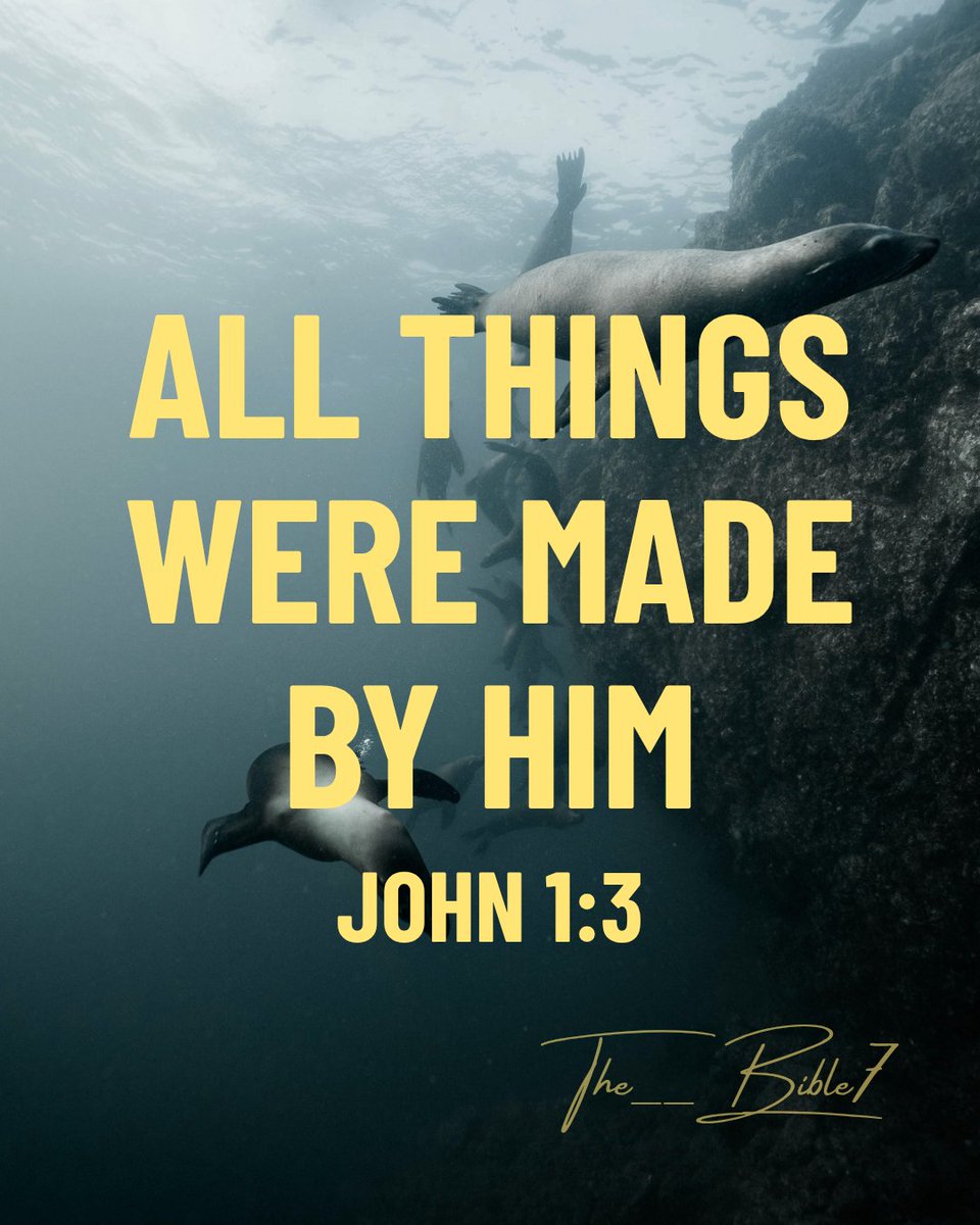 The__Bible7's tweet photo. John 1:3 https://t.co/yQKotdueR8