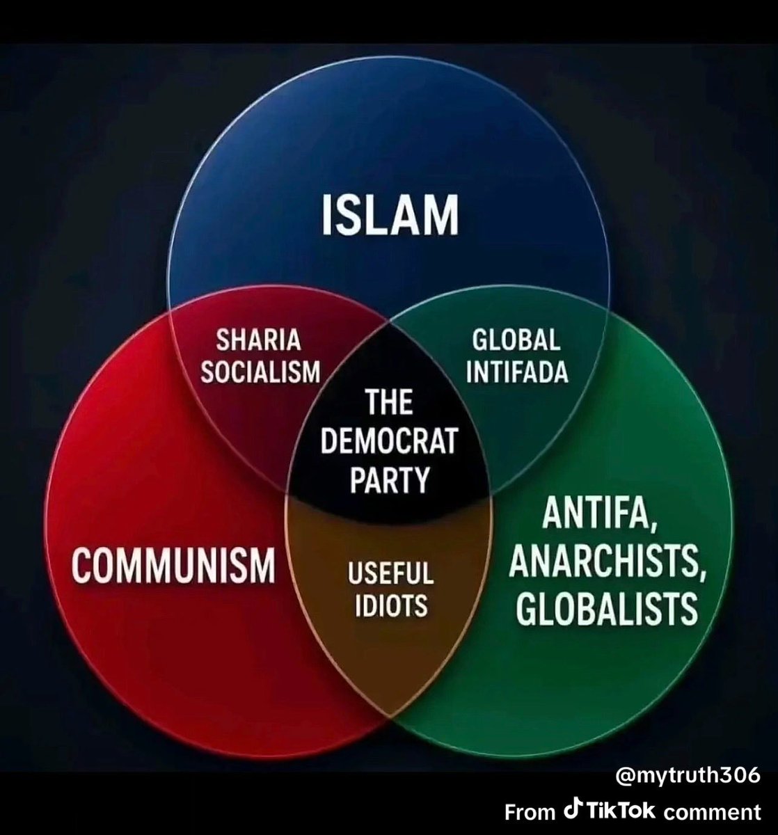 TxToolman50's tweet photo. @NowPammsy Democrats are the Party of NON AMERICANS https://t.co/onA86uaD6P