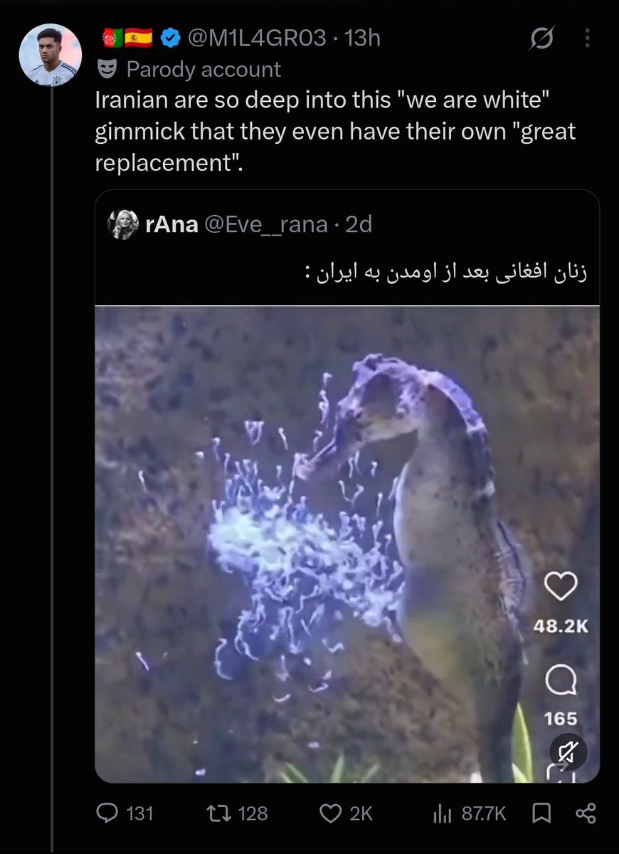 shirinnni's tweet photo. ایرانی تو نه تنها وایت هستی و وایت کله سیاه خیلی زیبا تر، جذاب تر و به درد بخور تر از وایت کمرنگ اروپاییه، بلکه اگه وایت نبودی هم همچنان برترین و با لیاقت ترین نسل جهان می‌بودی. خون تو در ایران از خون همه رنگین تره و باید تو دهن هر کره خری که بخواد برات هزینه بتراشه و آینده بچه هات رو تهدید کنه بزنی...
پنج هزار سال شهریگری و شکوه پشت سر توئه و وظیفه داری این امانت رو همچون آب تو سینی با دقت و روی چشمت نگه داری و به آیندگان بسپاری.