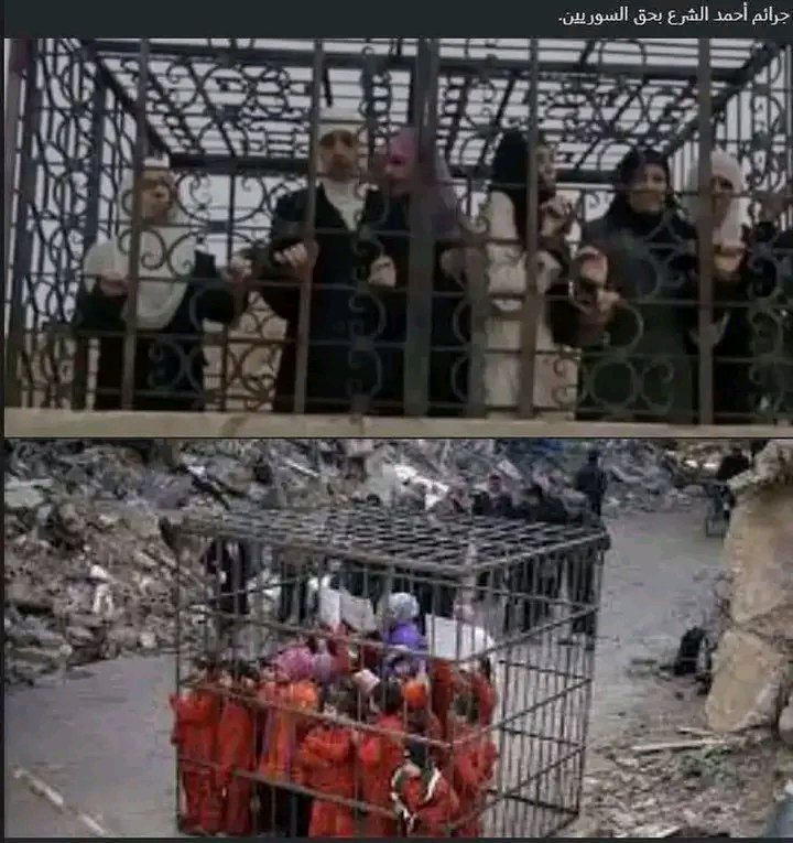 catycat1o's tweet photo. الصورة من دوما عام 2015 عندما قام ثوار تنظيم القاعدة الإرهابيين
بوضع الأطفال والنساء العلويين في أقفاص واستخدامهم كدروع بشرية
قرابة ال٧٠٠٠ معتقل مدني كانت قد اتفقت الدولة معهم لاستلامهم بعد اتفاق الغوطة
لكنهم نكثوا عهدهم كالعادة و حين دخلت الدولة إلى دوما لم تجد أثراً لأي منهم https://t.co/zhmeWJmlyz