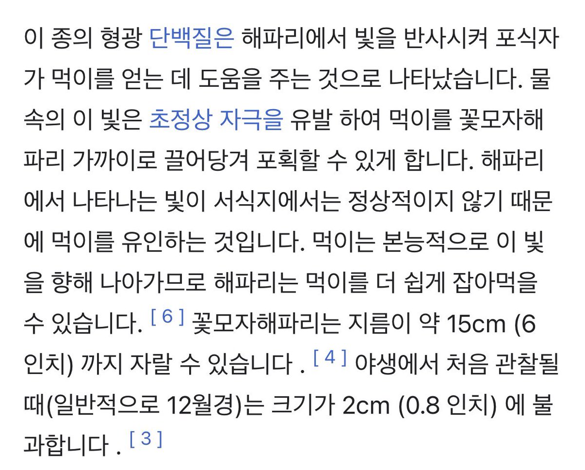 orakgi_lol's tweet photo. 꽃모자해파리가 어울릴지도… https://t.co/k4N1Dj0WZb