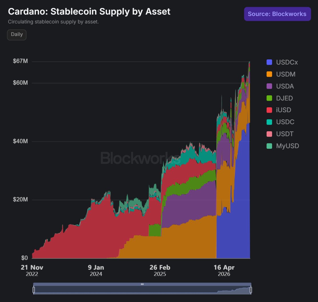 angrycryptoshow's tweet photo. INSIGHT: #Cardano $ADA's stablecoin market cap hits new record, now surpassing $67.47M.