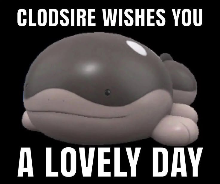 ClodsireGut's tweet photo. https://t.co/ERrTMfbu3U