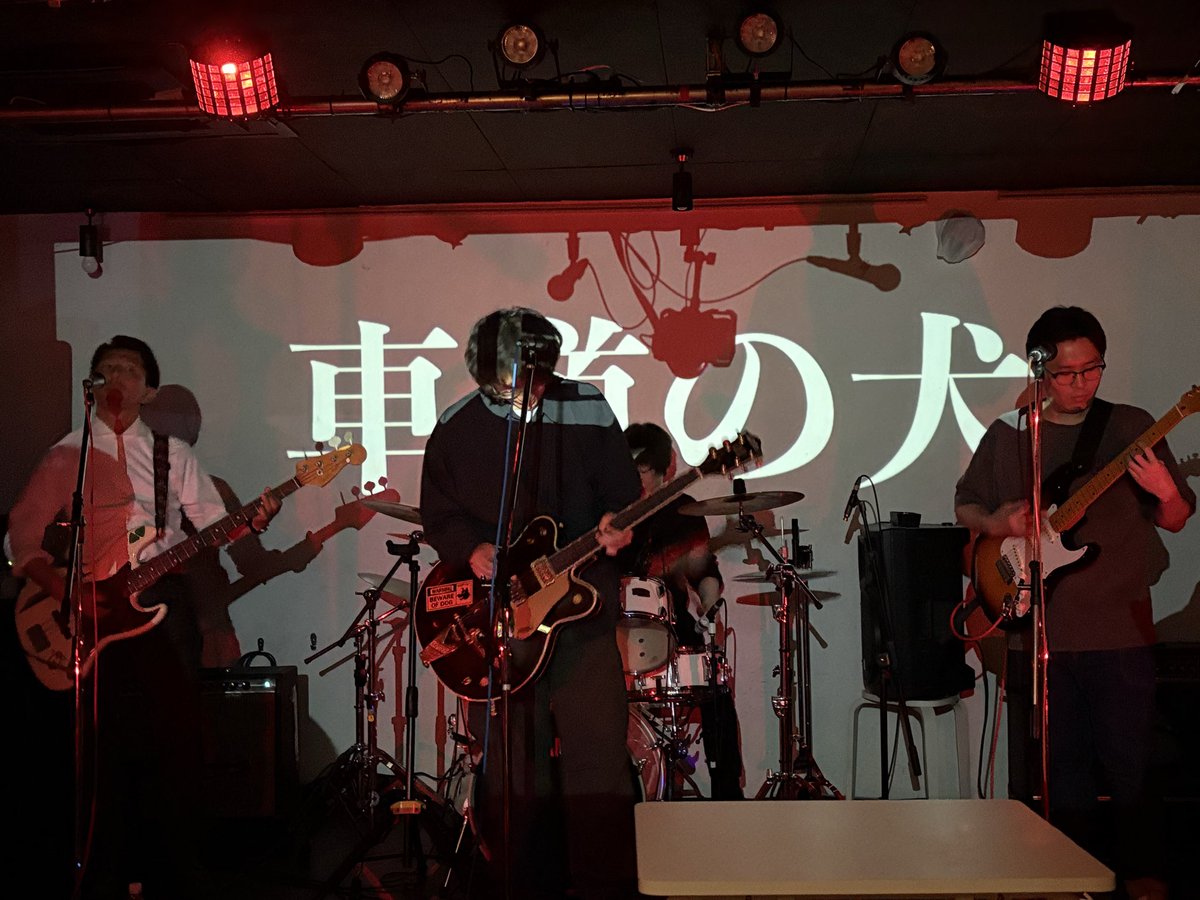suzune_notfound's tweet photo. 【️告知1】
Run chicken carnival
追加演者として 
車道の犬(@shadonoinu )の参加が決定致しました。 https://t.co/PULquxxPj5