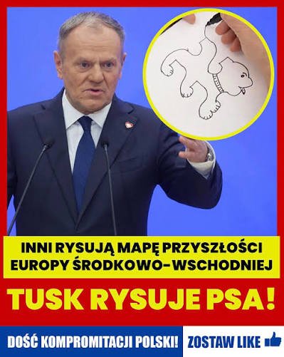 Bobrab5eik's tweet photo. @szymapajo https://t.co/OjkDTeTIDJ