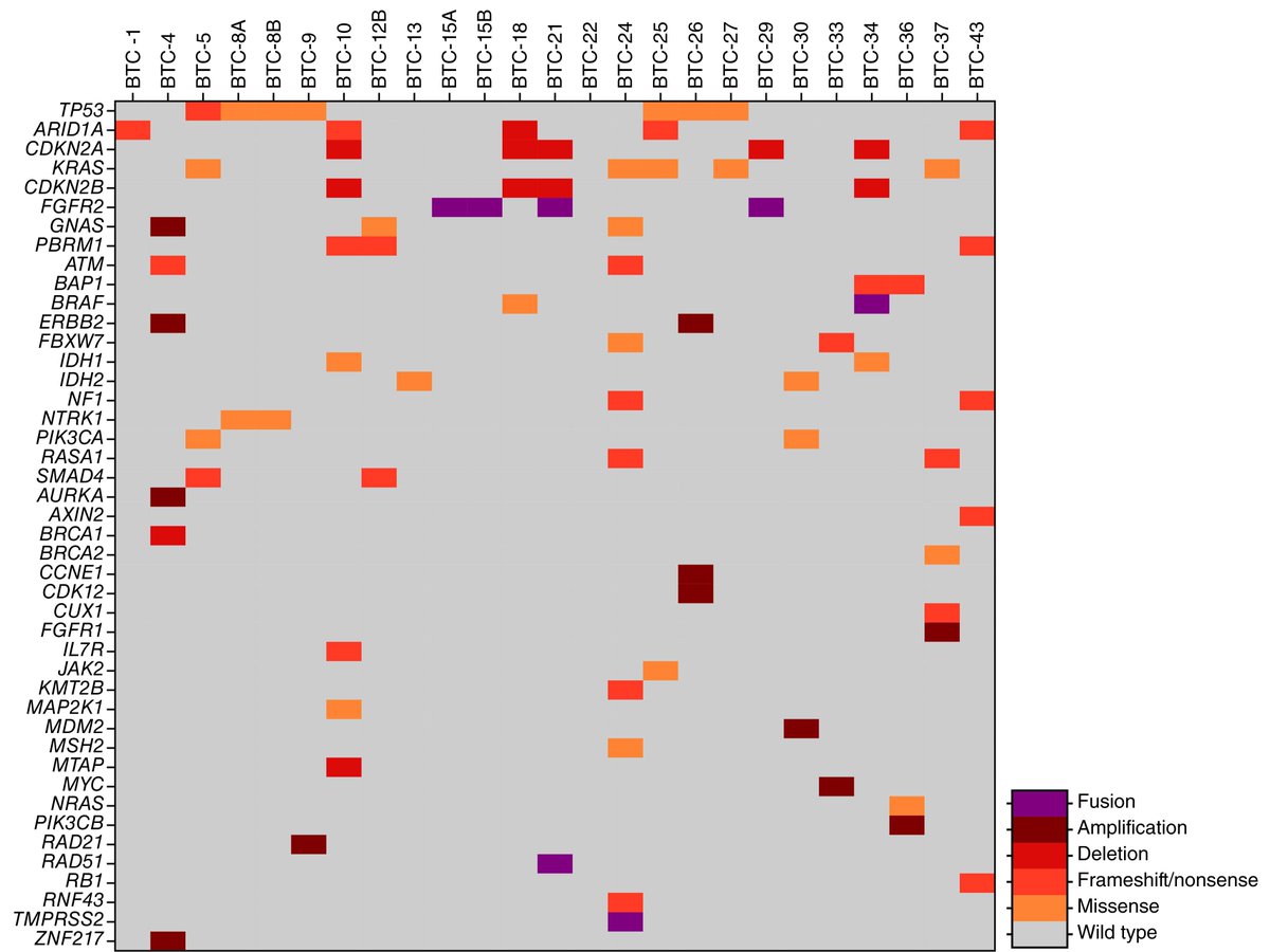 CRC_AACR's tweet photo. ICYMI: Ex Vivo Tumor-Derived Organoid Pharmacotyping Identifies Personalized Therapeutic Options for Patients with #BiliaryTractCancer https://t.co/bRUjbgcvLT @JavleMilind #PreclinicalModels #OpenAccess https://t.co/bOcrvCtZcJ