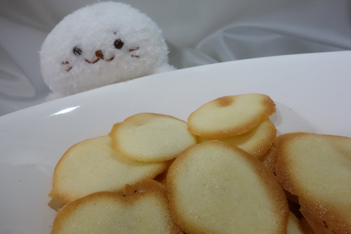 poketanchoco's tweet photo. 冷凍していた余りの卵白でラングドシャ作ったよ。
少し砂糖控えめに…サクサク美味しい。

しろたんが狙ってる！

#しろたん #スイーツ #ぬい撮り https://t.co/dpBmQJFIZE