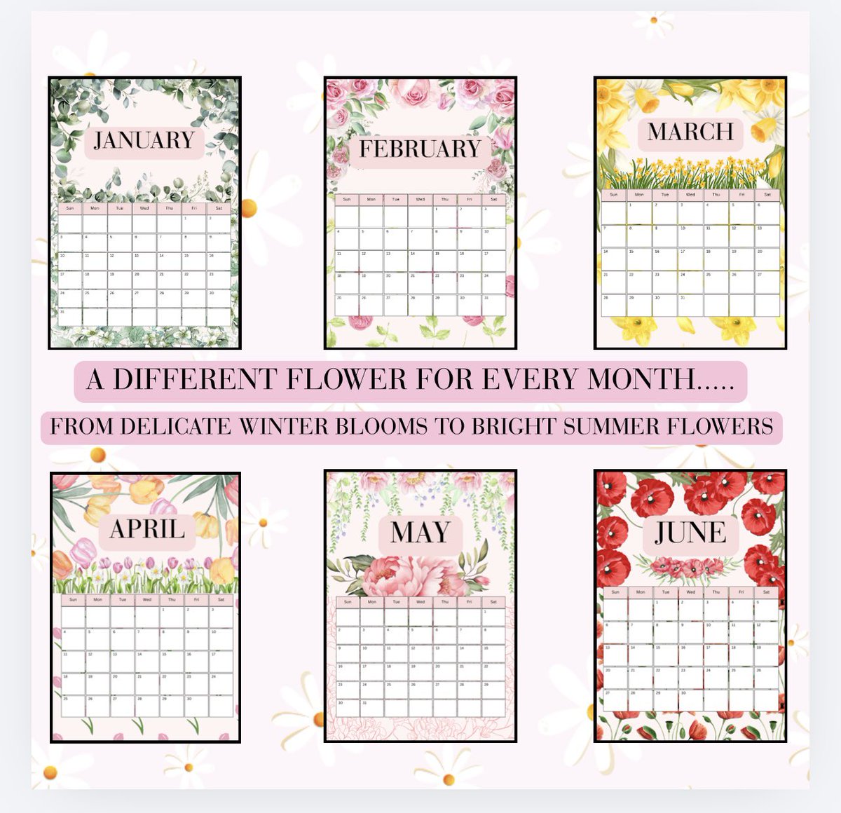 Dollymegan04's tweet photo. 🌸 2027 is going to be a year in bloom! 🌸

Our new 2027 Floral Printable Calendar is now available! 🌷

✨ 12 floral designs 
🗓️ January–December
link in bio 
Perfect for adding a little colour to your year. 💕
#2027Calendar #PrintableCalendar #EtsyUK #SmallBusiness #DigitalDown https://t.co/K5L4b7IHkE