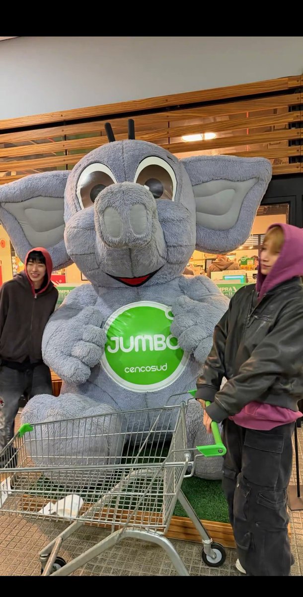 Irimik98's tweet photo. Los @Nexz con el elefante de JUMBO, ¿¿Queee??? Jajajaja♡♡
#Argentina #Jumbo #Nexz https://t.co/FweL5yFYxd