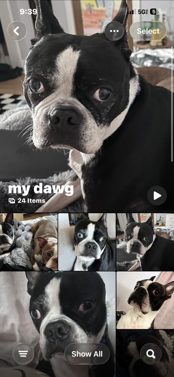 ch2rose's tweet photo. #FIXED the only three recognized in my phone are me my dogs and james ransone #HowItShouldBe https://t.co/VJrH7e1Rp9