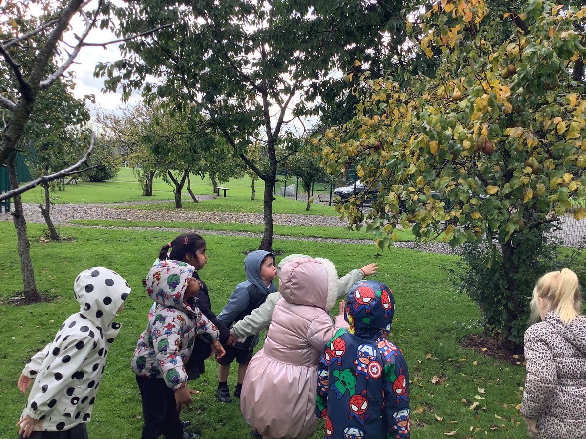 HasReception's tweet photo. @HasReception are learning in our #Orchard today as part of our #OutdoorCurriculum … 

🌳 🍏 🍐 

#EYFS https://t.co/SQ2Q1tBX8p