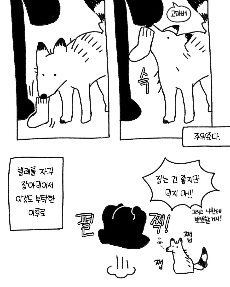 puppypoop_song's tweet photo. 인간의 말을 어디까지 이해하고 있는 건지 궁금해 https://t.co/3PNXUoCOQC