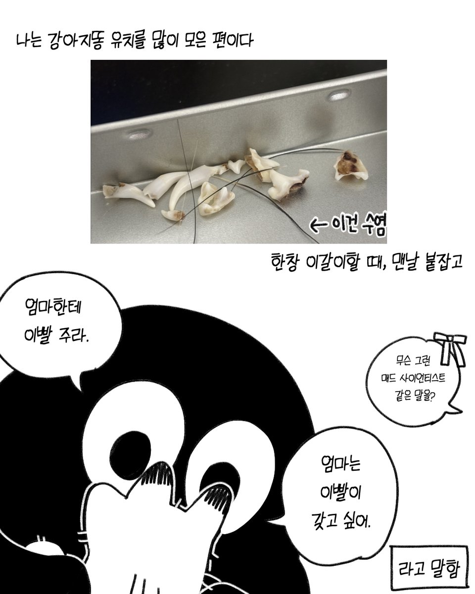 puppypoop_song's tweet photo. 인간의 말을 어디까지 이해하고 있는 건지 궁금해 https://t.co/3PNXUoCOQC