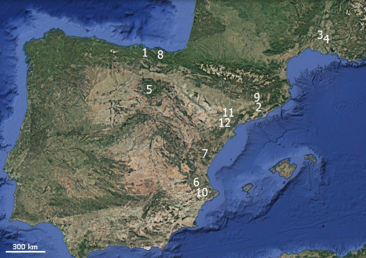 ICArEHB's tweet photo. 🦴Statistical approach to estimating occupation duration at Neanderthal sites via faunal evidence. #ICArEHB researcher Lubrano, with Spagnolo, Rufà, Blasco, Rivals &amp; Rosell, publish open access study.
🔗https://t.co/Ewgr2SCF1P
#Neanderthals #Archaeology https://t.co/FIek1O7ACN