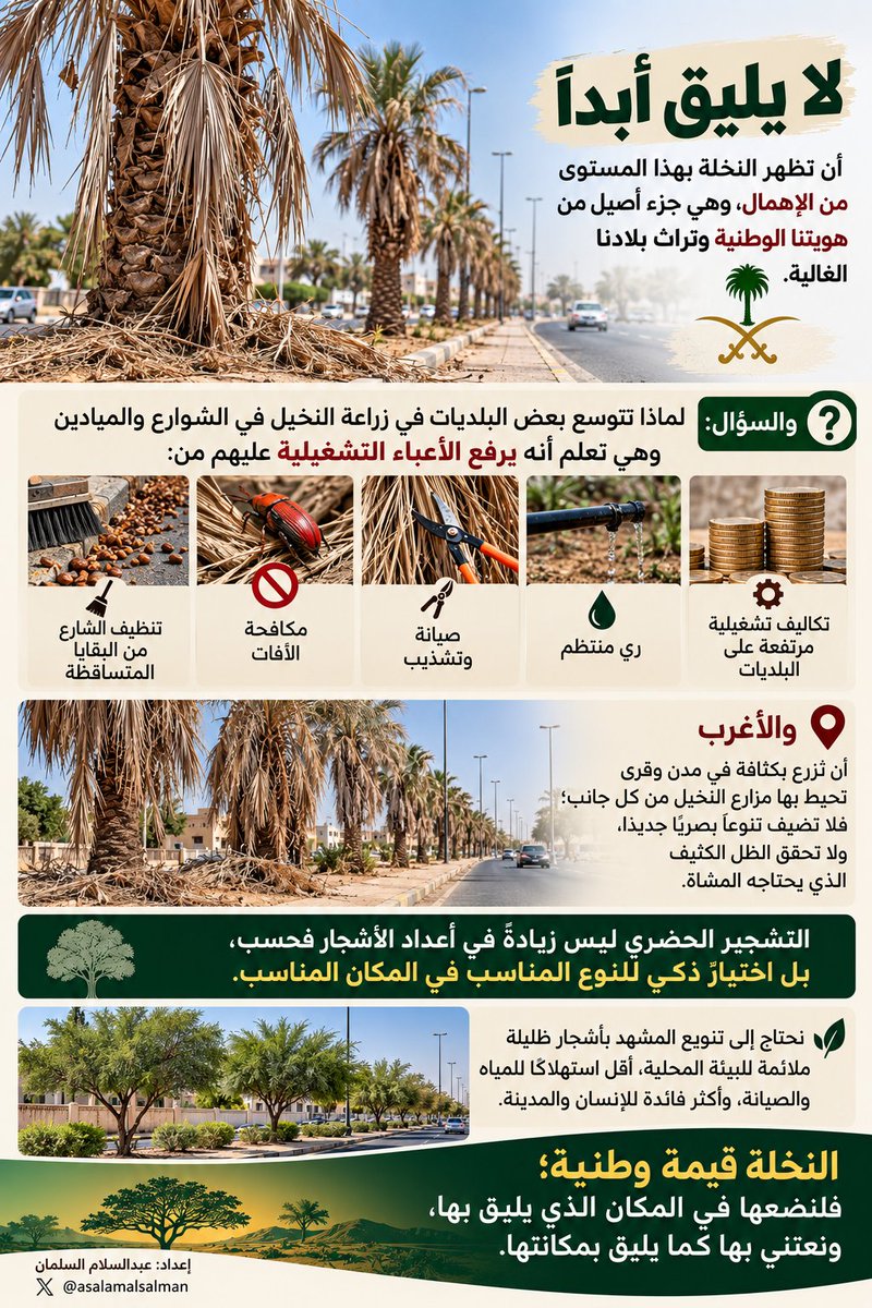 asalamAlsalman's tweet photo. لا يليق أبدًا أن تظهر النخلة بهذا المستوى من الإهمال، وهي جزء أصيل من هويتنا الوطنية وتراث بلادنا الغالية 🇸🇦💚

والسؤال: لماذا تتوسع بعض البلديات في زراعة النخيل في الشوارع والميادين، وهي تعلم أنه يرفع الأعباء التشغيلية من ريٍّ منتظم، وصيانة وتشذيب، ومكافحة للآفات، وتنظيف مستمر للبقايا والثمار المتساقطة؟

والأغرب أن تُزرع بكثافة في مدن وقرى تحيط بها مزارع النخيل من كل جانب؛ فلا تضيف تنوعًا بصريًا جديدًا، ولا تحقق الظل الكثيف الذي يحتاجه المشاة.

التشجير الحضري ليس زيادةً في أعداد الأشجار فحسب، بل اختيارٌ ذكي للنوع المناسب في المكان المناسب.

نحتاج إلى تنويع المشهد بأشجار ظليلة ملائمة للبيئة المحلية، أقل استهلاكًا للمياه والصيانة، وأكثر فائدة للإنسان والمدينة.

النخلة قيمة وطنية؛ فلنضعها في المكان الذي يليق بها، ونعتني بها كما يليق بمكانتها.
@MEWA_KSA 
@Momah_SA 
@Balady_CS 
@Amanatalriyadh 
@mansourmushaiti