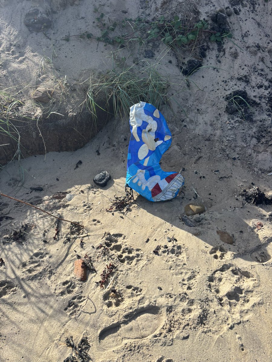 waddells74's tweet photo. #Plastic 🎈 flapping about along the #Cambois 🏖️ 🌊 thousands of birds 🐦 get trapped and these get swallowed by 🐳 🐬 🦭 🦢 ⚠️ it takes 2minutes to #Binit 🗑️ trot 🐴 off to a bin guys even my horse 🐴 spotted it!! 😀 #Northumberland https://t.co/wSWu9xlA3U