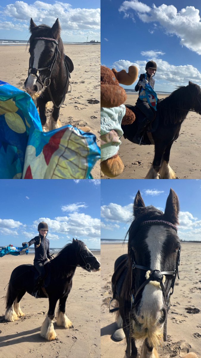 waddells74's tweet photo. #Plastic 🎈 flapping about along the #Cambois 🏖️ 🌊 thousands of birds 🐦 get trapped and these get swallowed by 🐳 🐬 🦭 🦢 ⚠️ it takes 2minutes to #Binit 🗑️ trot 🐴 off to a bin guys even my horse 🐴 spotted it!! 😀 #Northumberland https://t.co/wSWu9xlA3U