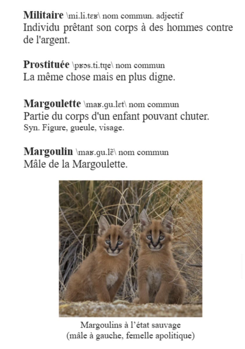 Titre_cinq's tweet photo. Je suis retombée sur le « dictionnaire » que mon pote avait fait pour un ami et c’est vraiment hilarant https://t.co/YNjoGmpKQS
