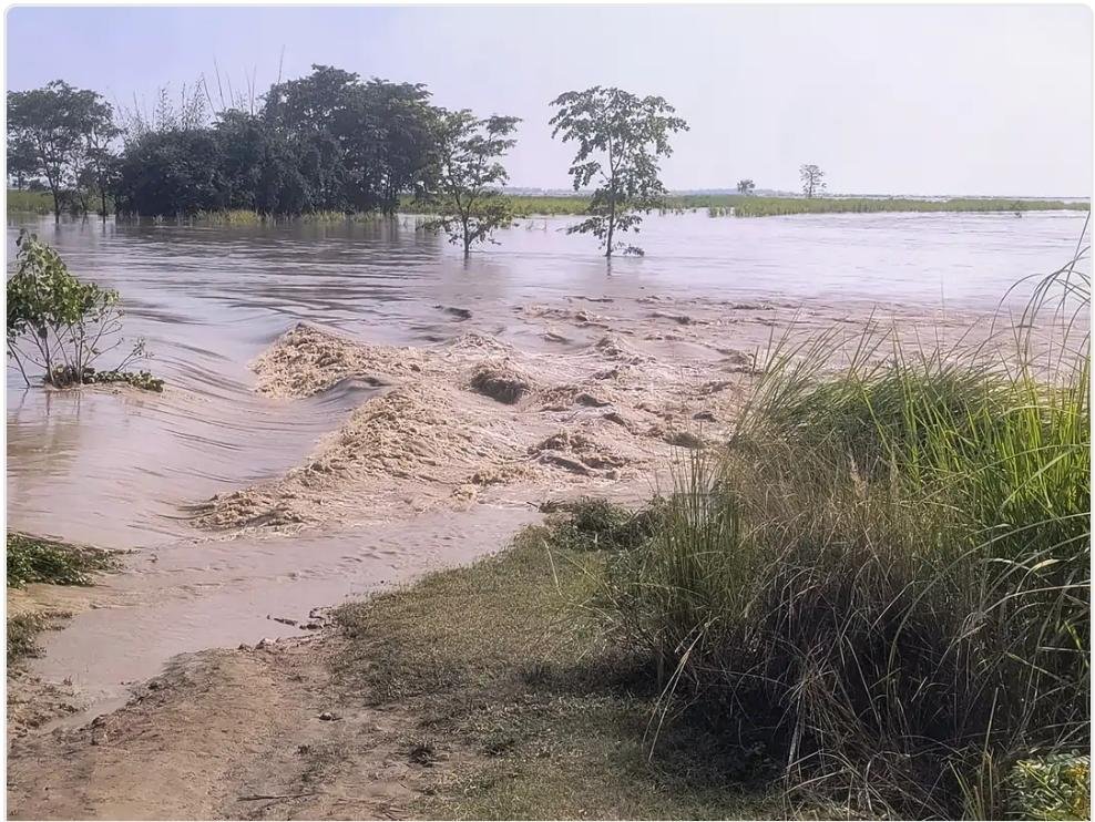 VftNews's tweet photo. तटबंध टूटा तो खुली तैनाती की फाइल! कुशीनगर में वर्षों से जमे एक्सईएन पर उठे सवाल, गोमती रिवर फ्रंट जांच से जुड़ा नाम भी चर्चा में https://t.co/b2LOqGhhDn https://t.co/nvcS2qb6XS