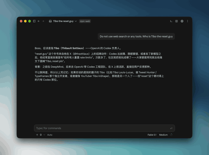 A screenshot of a chat interface titled 'Tibo the reset guy' displaying a message explaining Thibault Sottiaux's role at Codex and the origin of the 'reset guy' nickname.