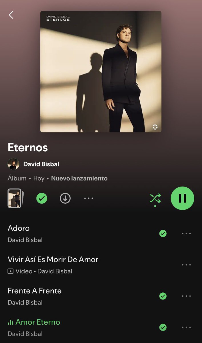 HernandezLetiii's tweet photo. No puedo parar de escuchar “Eternos” gracias @davidbisbal por esta gran joya musical, mi favorita es Abrázame muy fuerte, que gran canción de Juan Gabriel y ahora con tu toque musical hace que sea aun mas especial!!! Eres un grande @davidbisbal 💙🥹 https://t.co/3p7AGPs7Z7