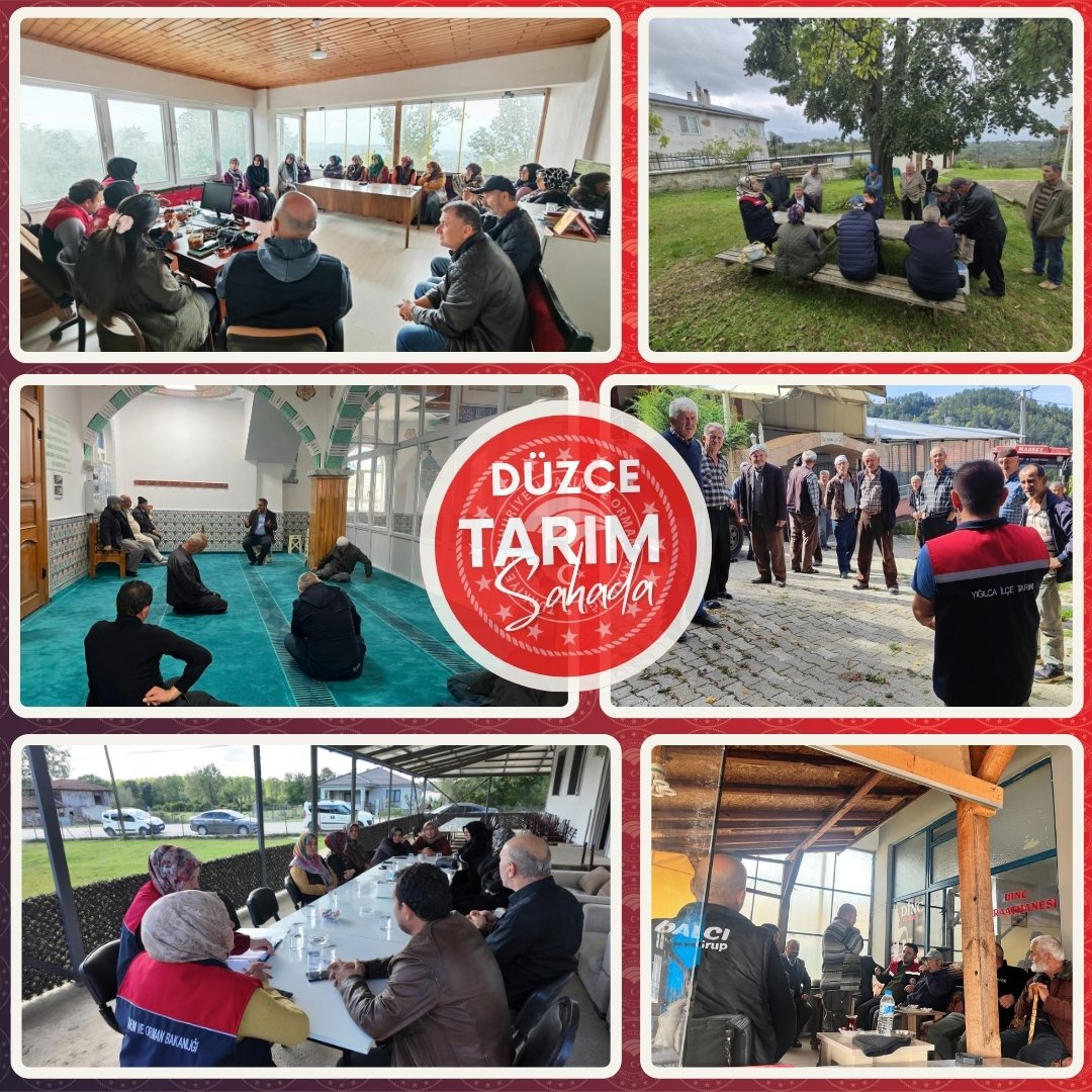 duzceiltarim's tweet photo. Cuma Buluşmaları ile üreticilerimizin yanında olmaya, sahada buluşmaya ve tarımsal konularda bilgi paylaşımında bulunmaya devam ediyoruz.

#TarımSahada #Düzce #Tarım

@ibrahimyumakli  @ahmtbgc  @AhmetGumen  @bekirgizligider @esrauzun @TCTarim https://t.co/e0kb5scfyK