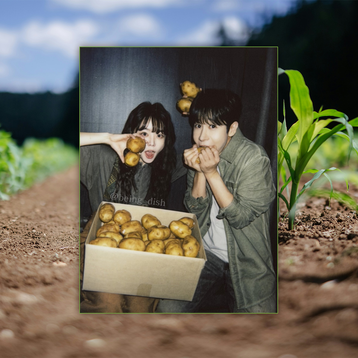 being_dish's tweet photo. #Happily_Pola_After

??? : 감자라는 게 숨겨진다고 숨겨지는 것도 아니고
ㄴ 일반적인 물질로는 저런 생활은 불가능함... 분명 어디서 기계인간이라도 주웠을 것 https://t.co/OQ5AGrc9HS