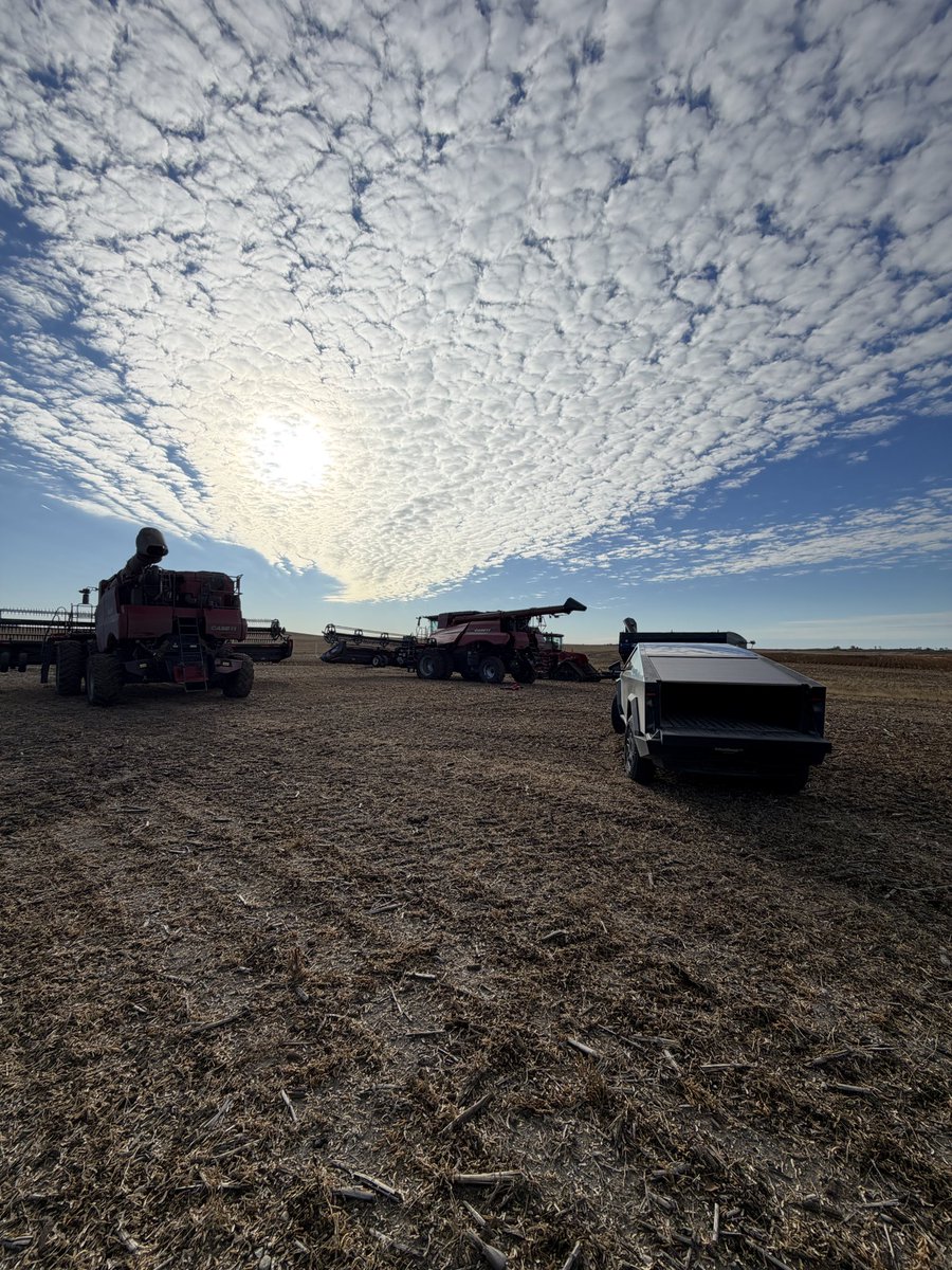 Qshizzle97's tweet photo. Good thing we parked facing east! 30° last night!
#RIPpoolpump https://t.co/IgtseWeetL